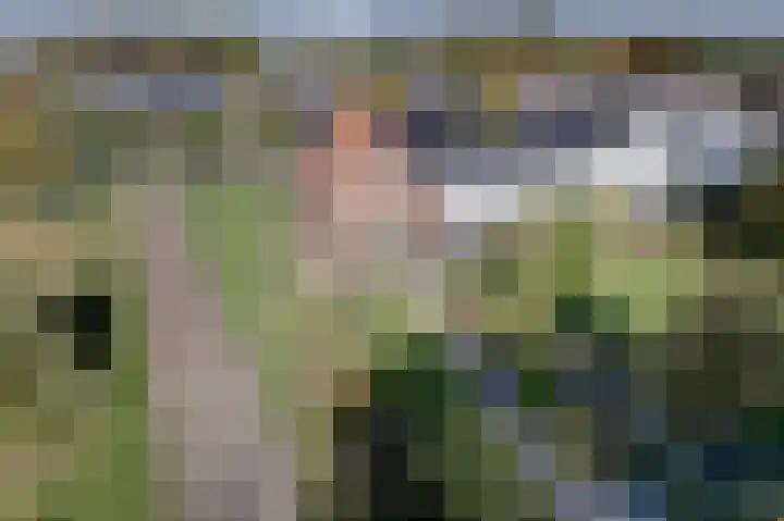 Molenstraat 1 Bad Nieuweschans thumbnail 33