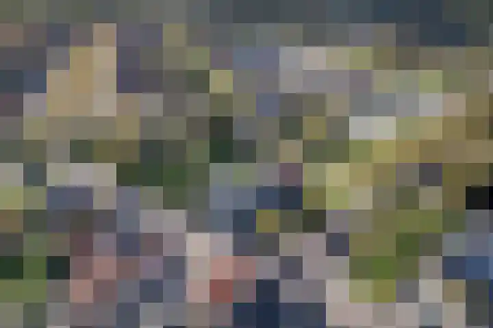 Molenstraat 1 Bad Nieuweschans thumbnail 39