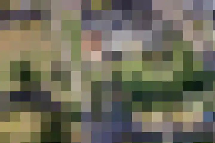 Molenstraat 1 Bad Nieuweschans thumbnail 5