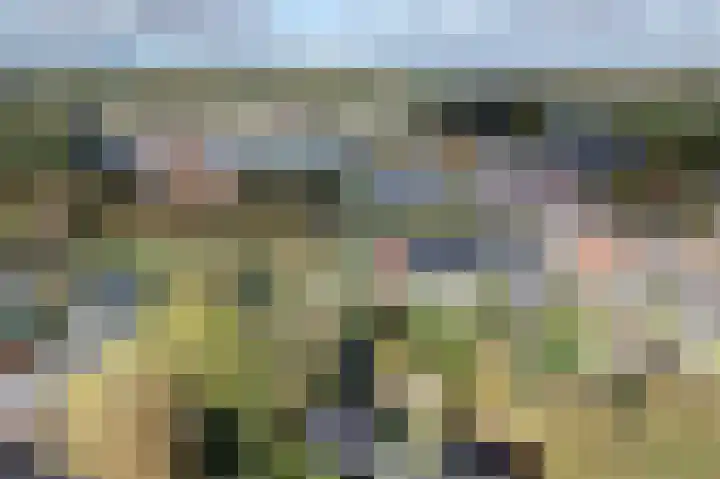 Molenstraat 1 Bad Nieuweschans thumbnail 6