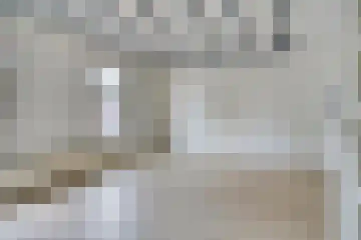 Molenstraat 1 c Boxtel thumbnail 11