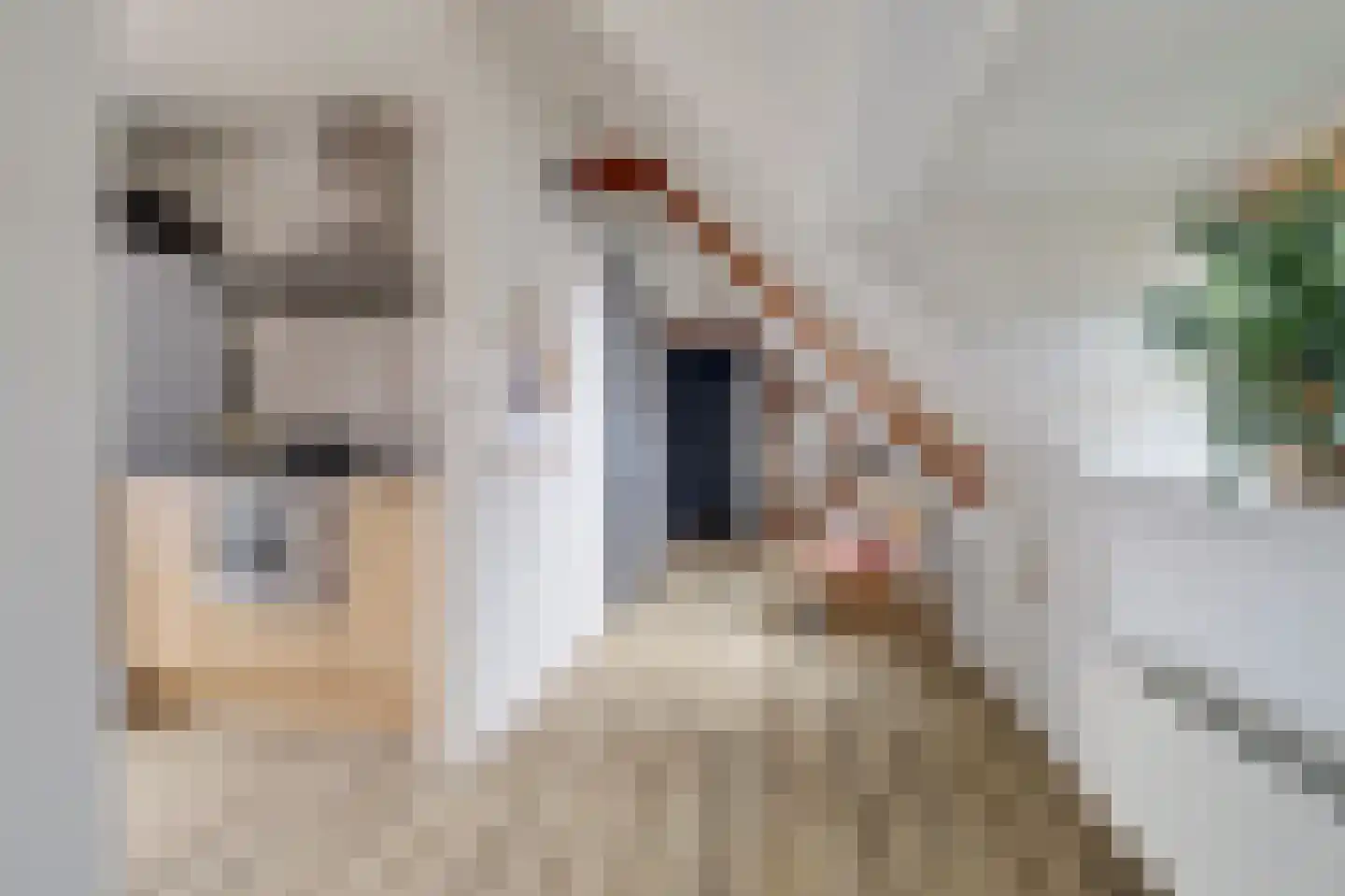 Molenstraat 1 c Lochem thumbnail 10