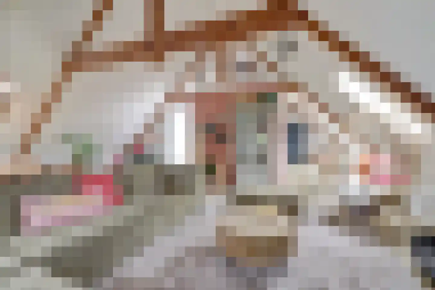 Molenstraat 1 c Lochem thumbnail 7