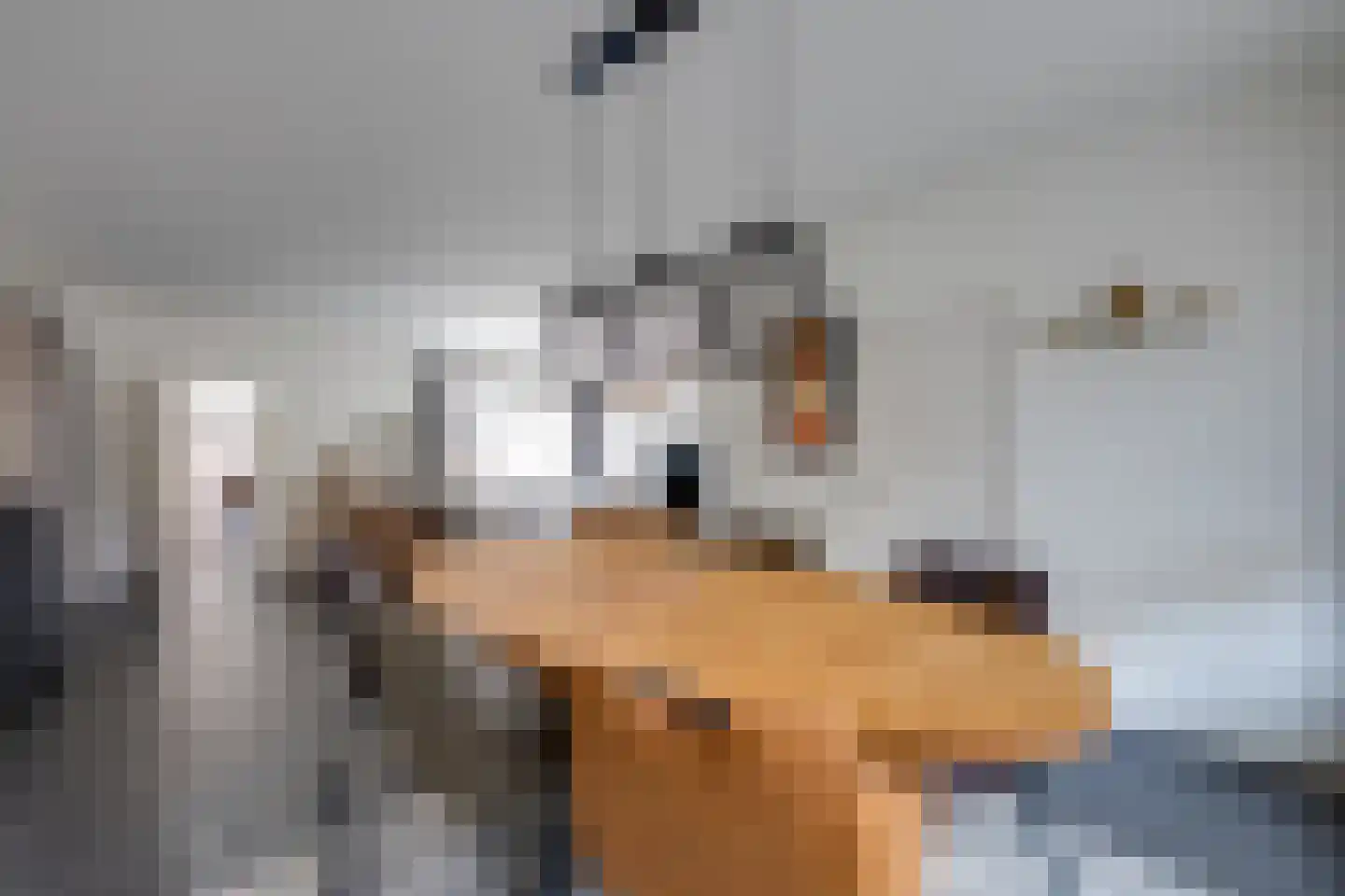 Molenstraat 1 Goirle thumbnail 10
