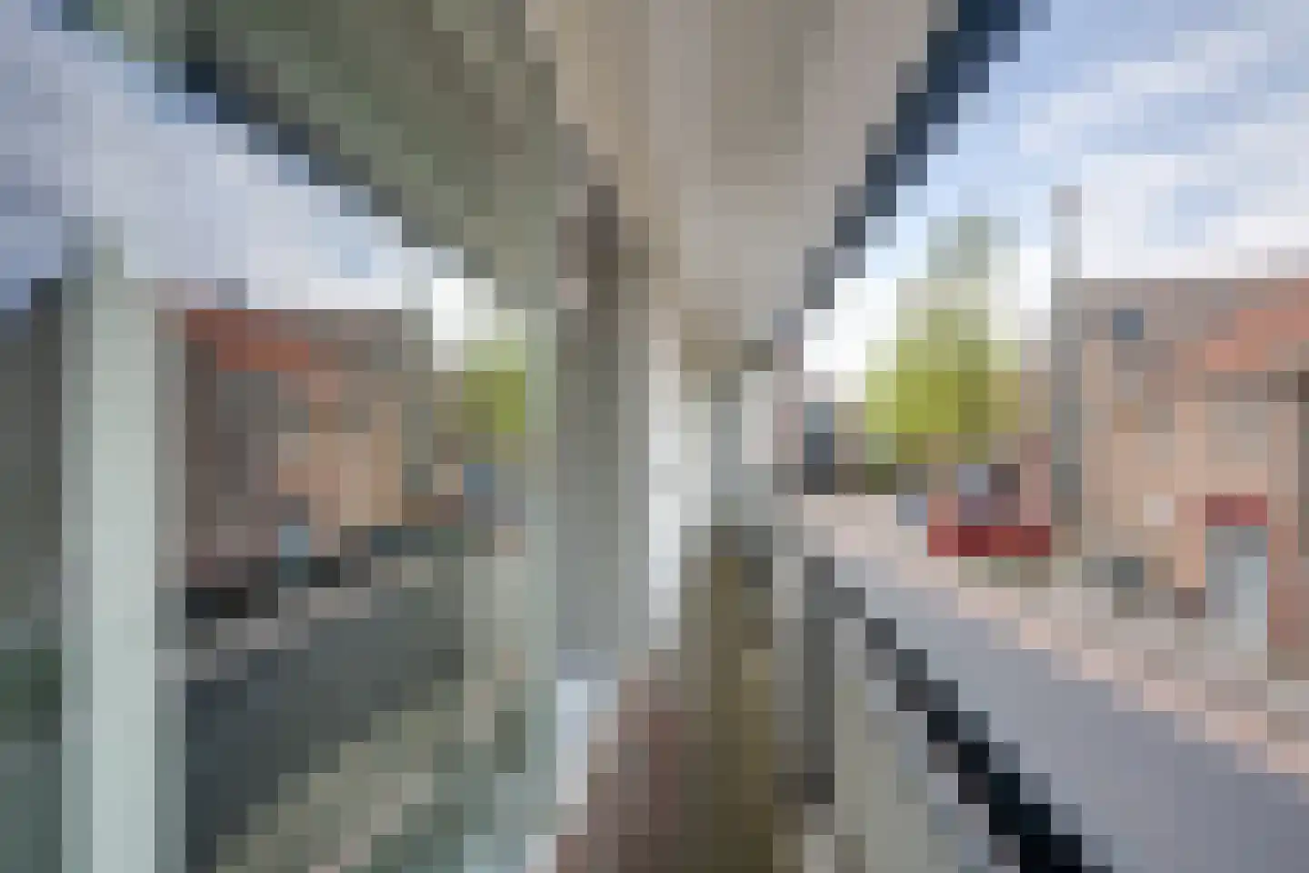 Molenstraat 1 Goirle thumbnail 31
