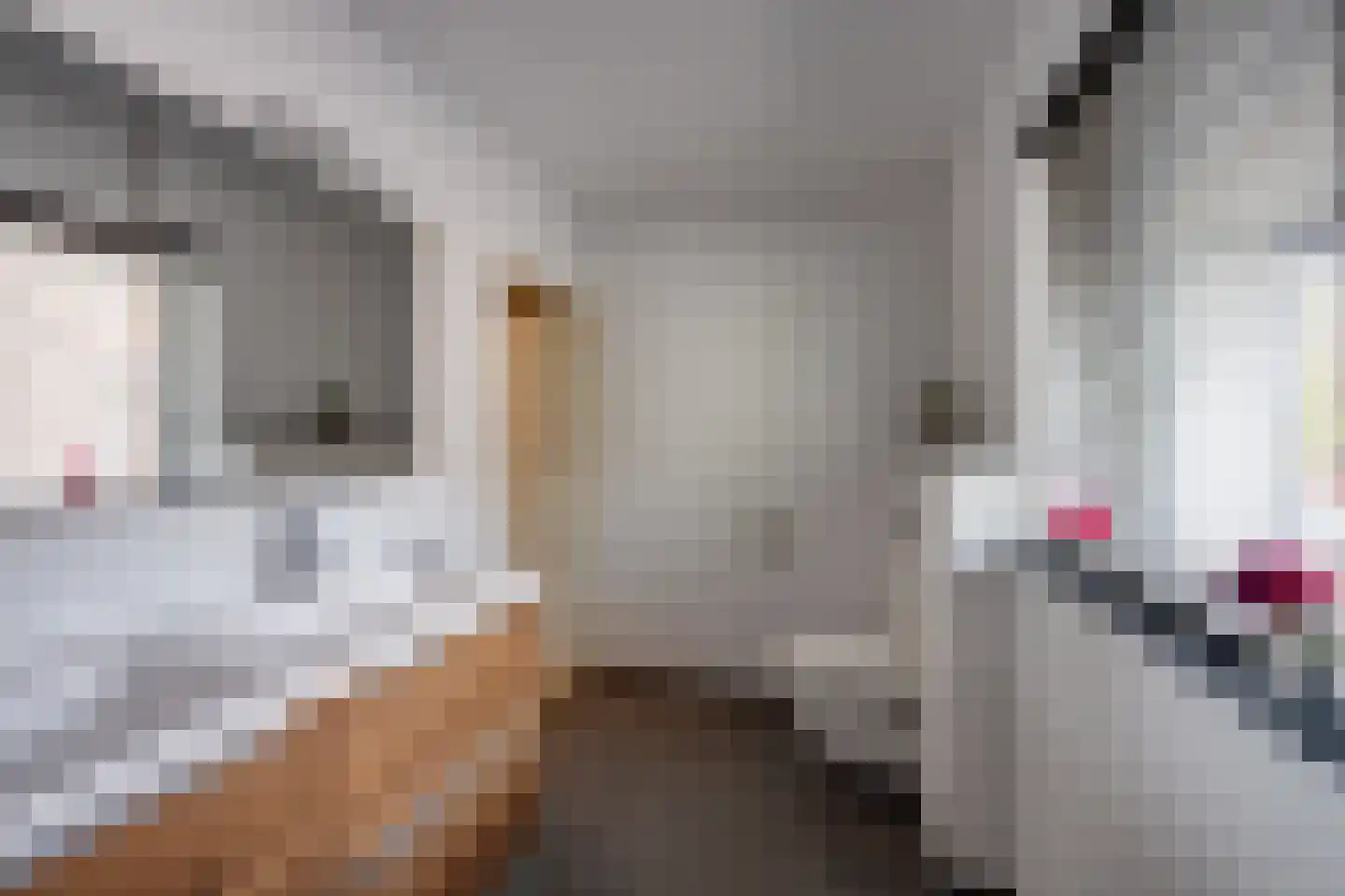 Molenstraat 1 Goirle thumbnail 38