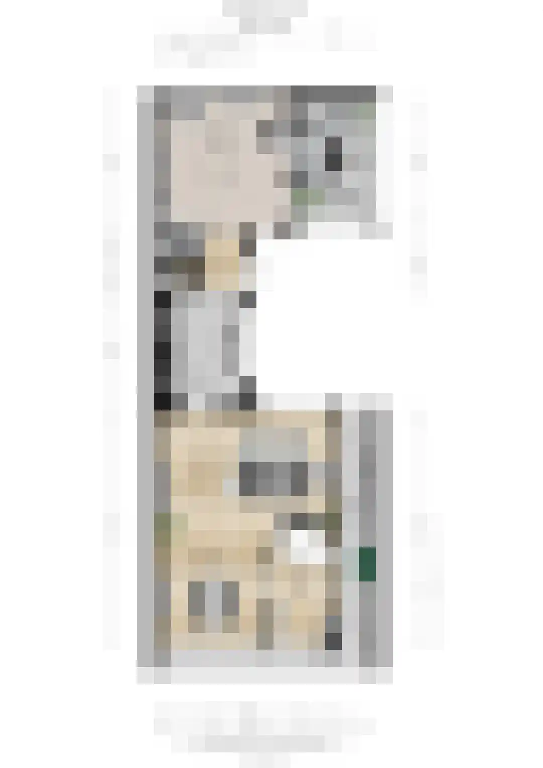 Molenstraat 1 Goirle thumbnail 49