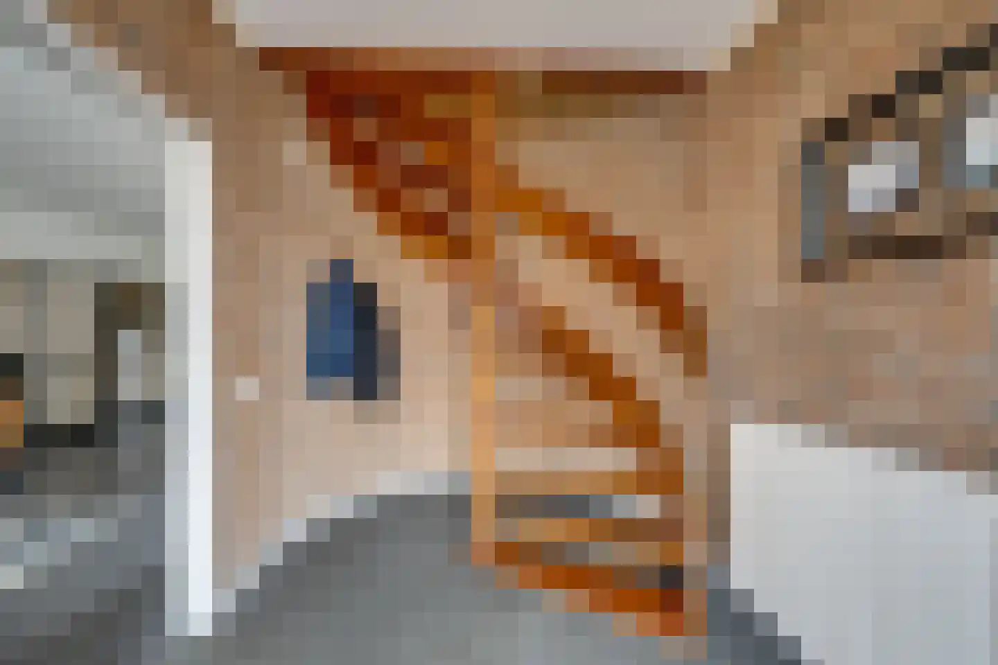Molenstraat 1 Goirle thumbnail 8
