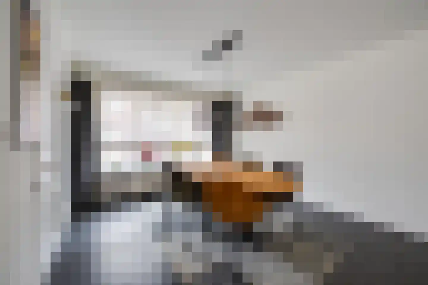 Molenstraat 1 Goirle thumbnail 9
