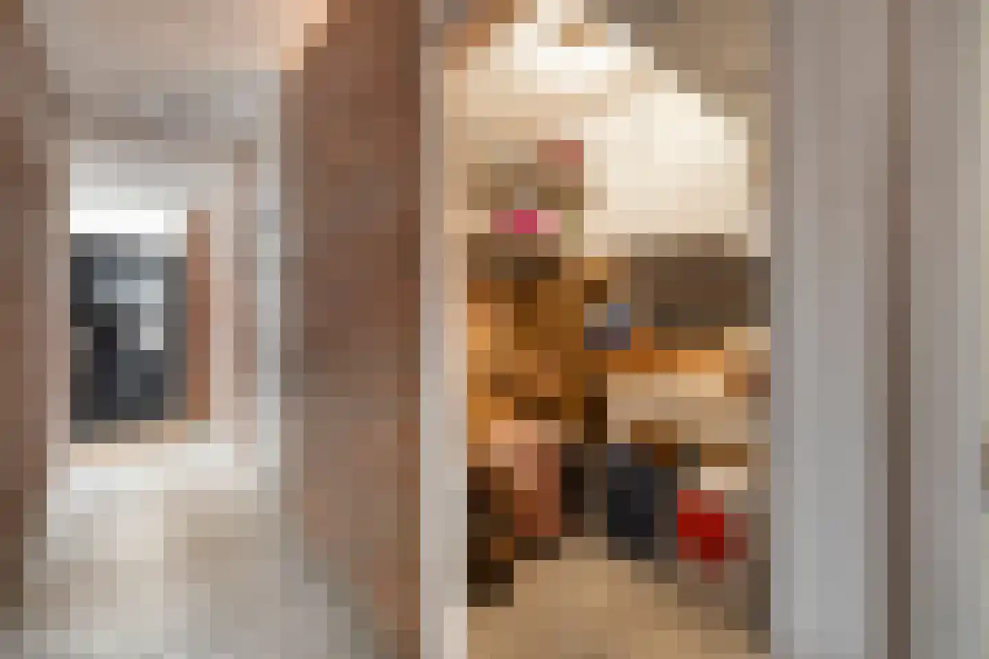 Molenstraat 1 J Woerden thumbnail 28