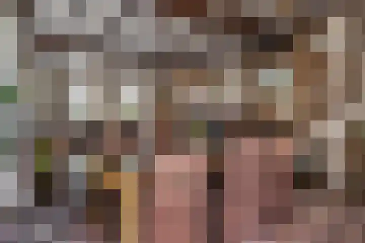 Molenstraat 1 Kerkdriel thumbnail 10