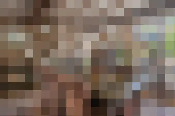 Molenstraat 1 Kerkdriel thumbnail 11