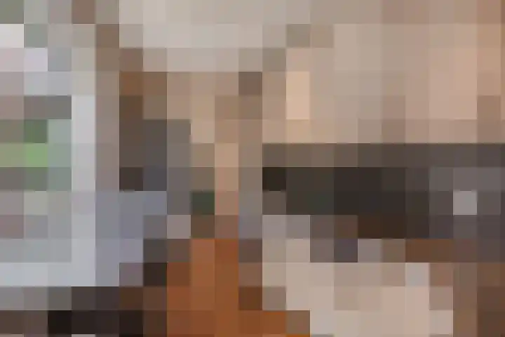 Molenstraat 1 Kerkdriel thumbnail 12