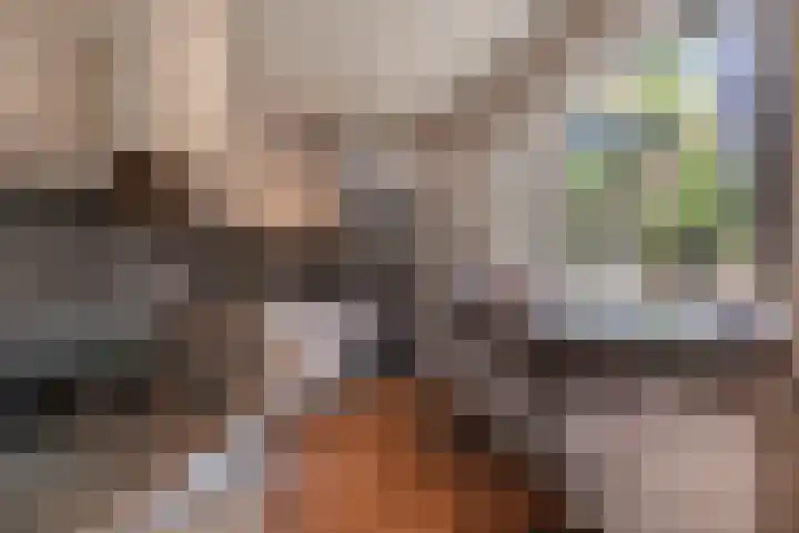 Molenstraat 1 Kerkdriel thumbnail 13