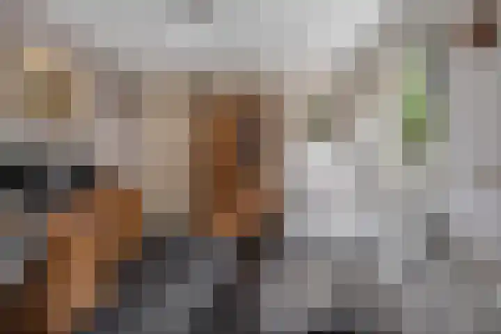Molenstraat 1 Kerkdriel thumbnail 15