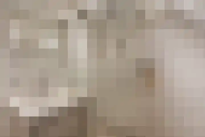Molenstraat 1 Kerkdriel thumbnail 20