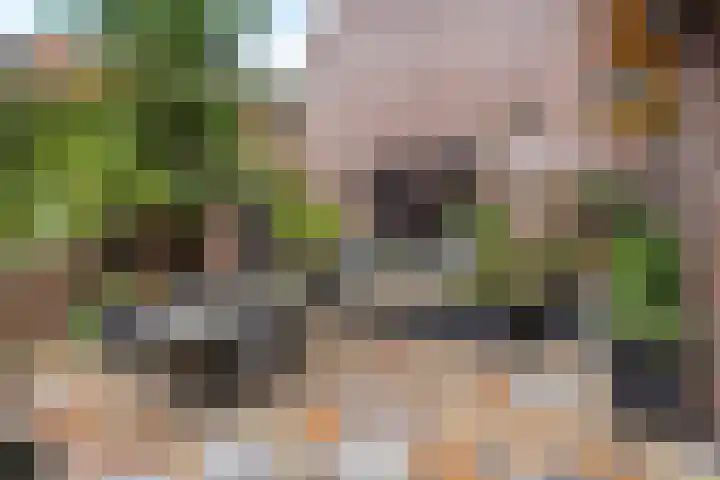 Molenstraat 1 Kerkdriel thumbnail 21