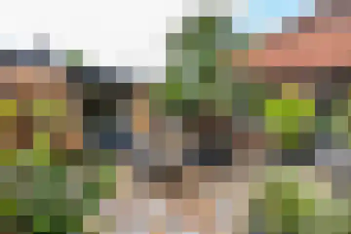 Molenstraat 1 Kerkdriel thumbnail 22