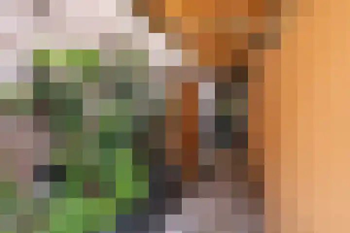 Molenstraat 1 Kerkdriel thumbnail 23