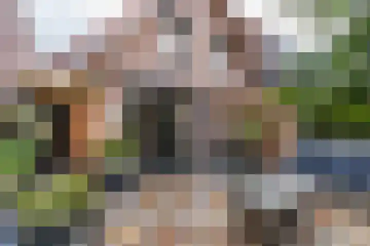 Molenstraat 1 Kerkdriel thumbnail 25