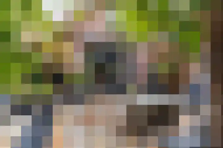 Molenstraat 1 Kerkdriel thumbnail 26
