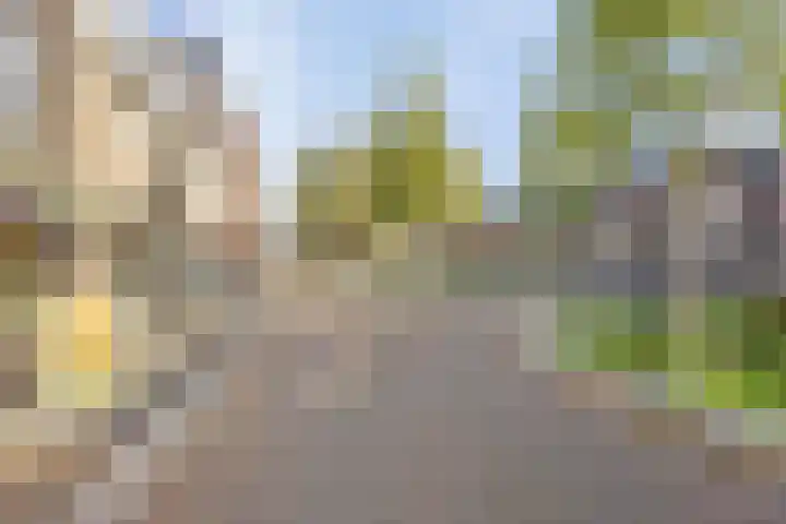 Molenstraat 1 Kerkdriel thumbnail 29