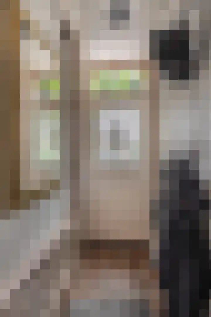 Molenstraat 1 Kerkdriel thumbnail 6