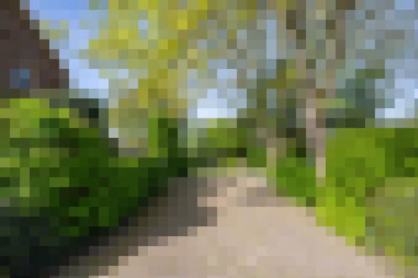 Molenstraat 1 Maurik thumbnail 11