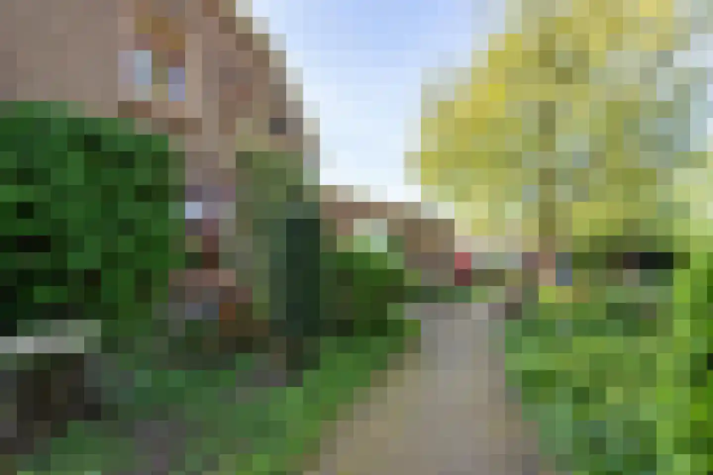 Molenstraat 1 Maurik thumbnail 13