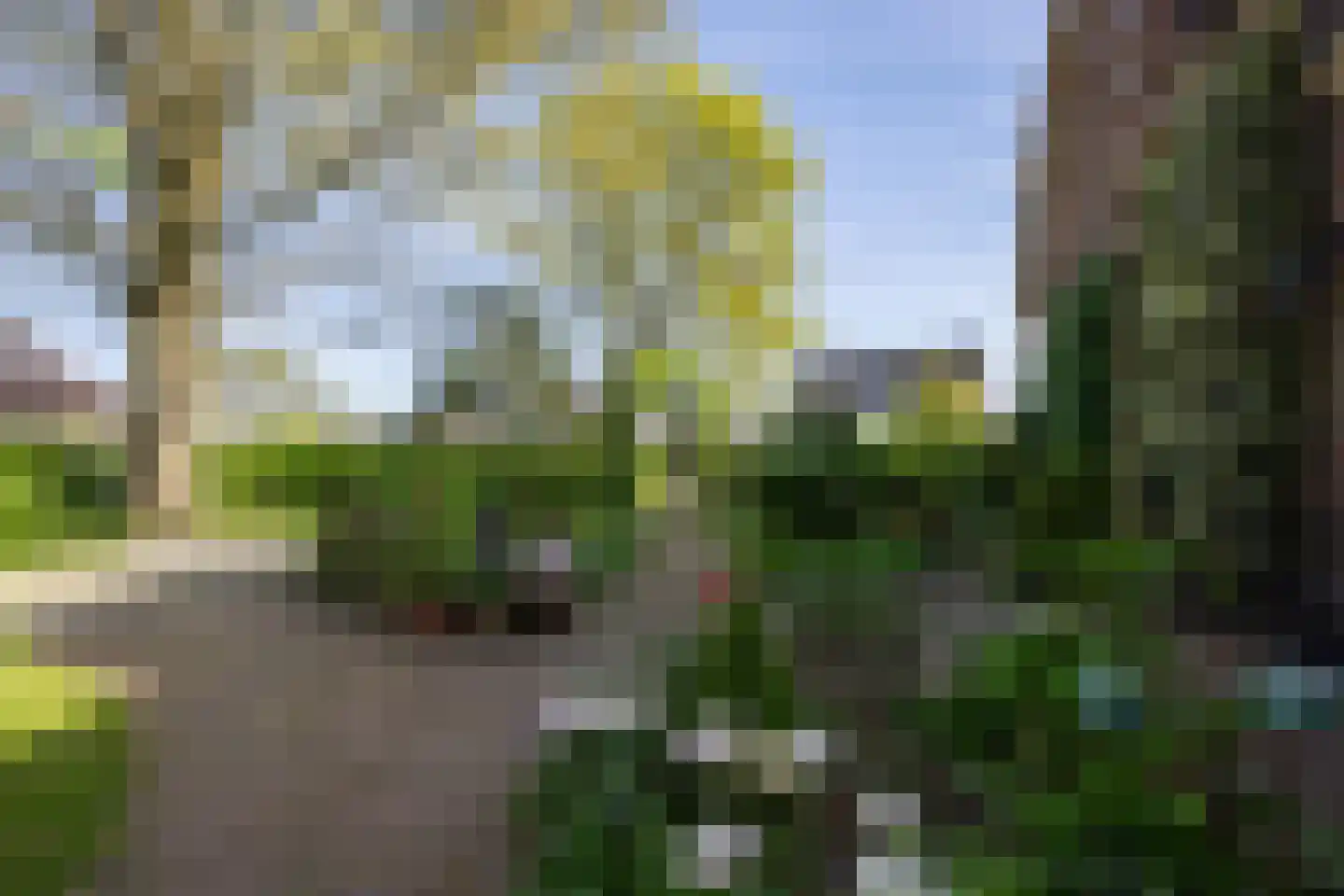 Molenstraat 1 Maurik thumbnail 15