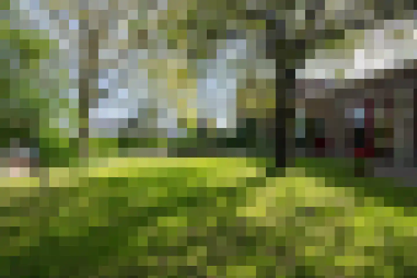 Molenstraat 1 Maurik thumbnail 17