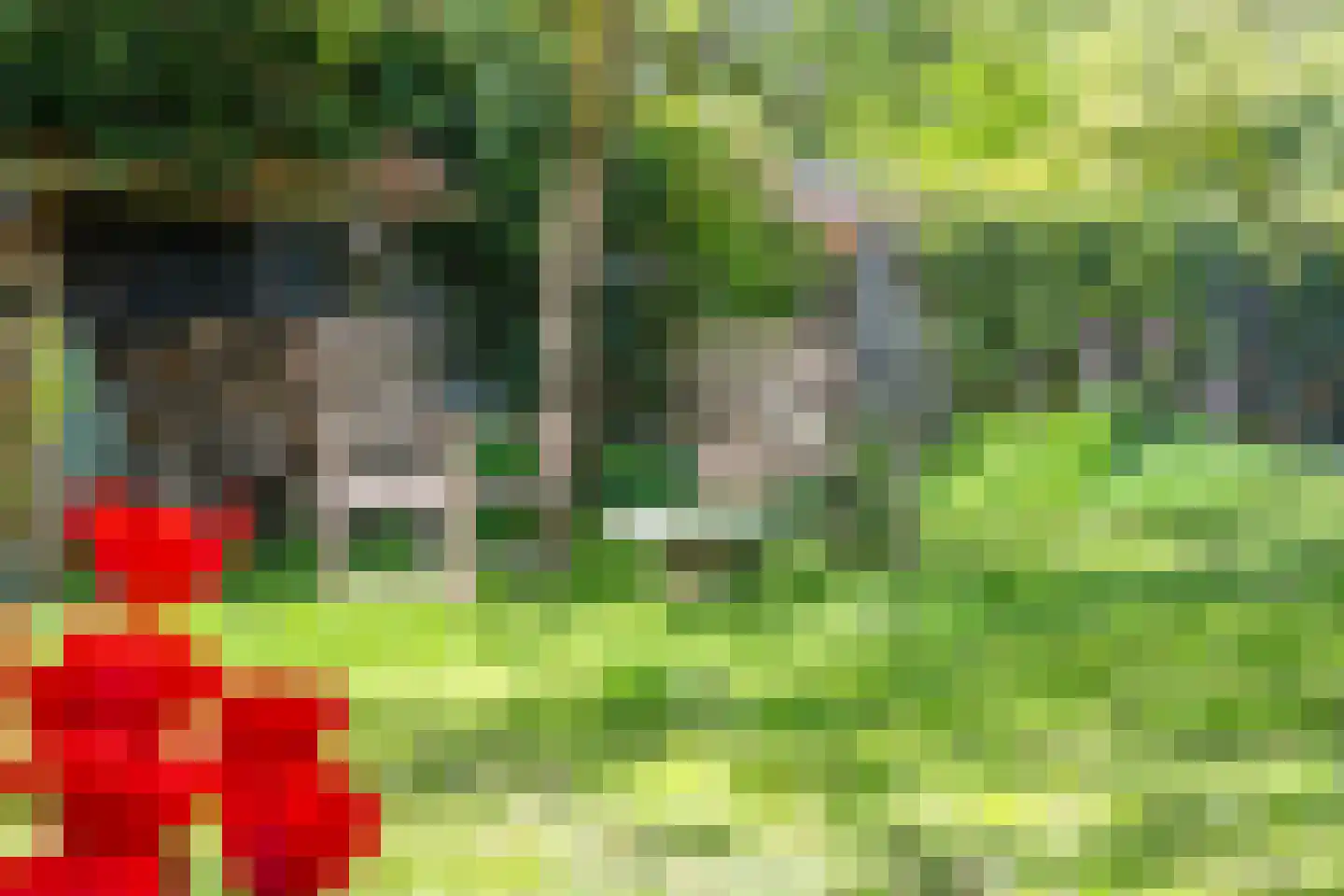 Molenstraat 1 Maurik thumbnail 19