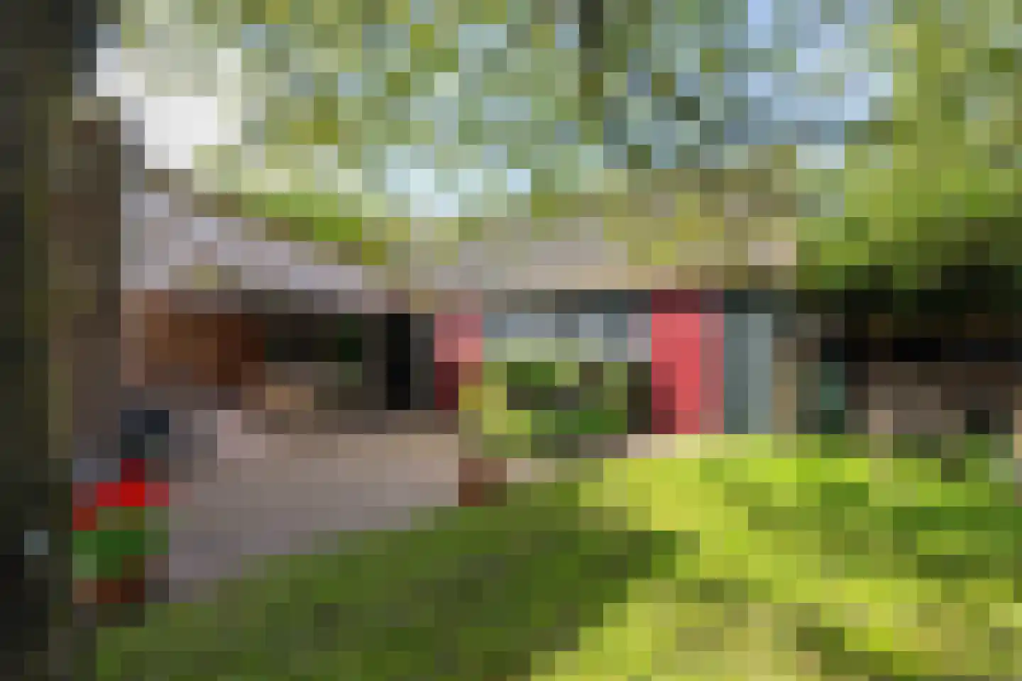 Molenstraat 1 Maurik thumbnail 20