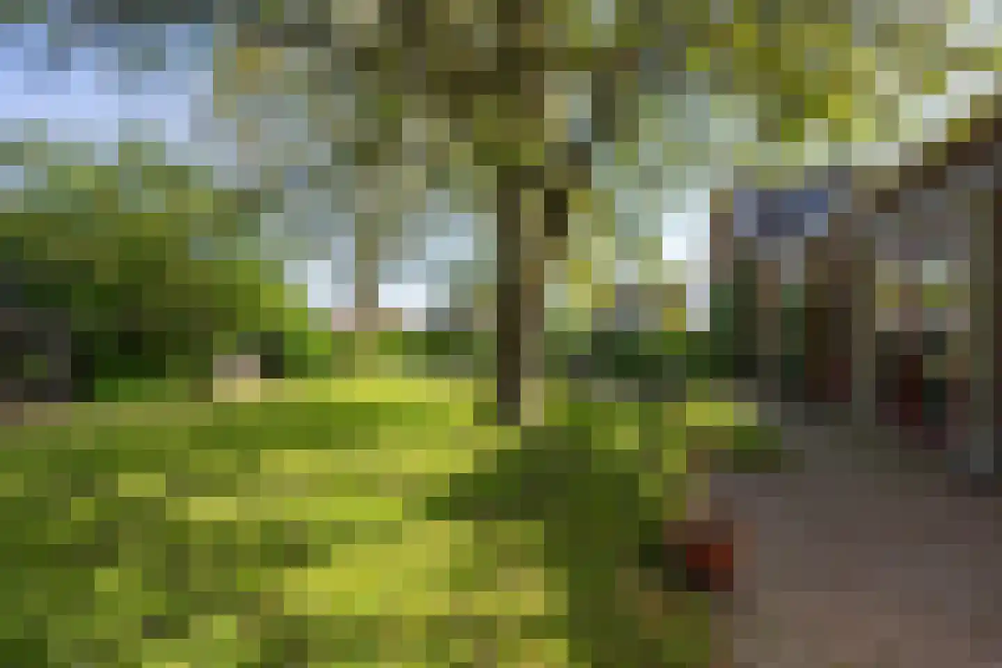 Molenstraat 1 Maurik thumbnail 23