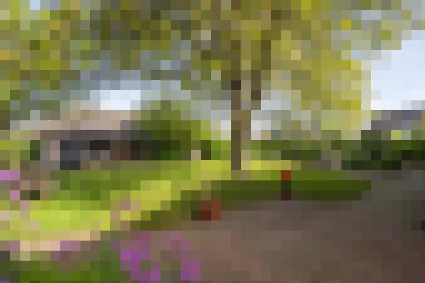 Molenstraat 1 Maurik thumbnail 24