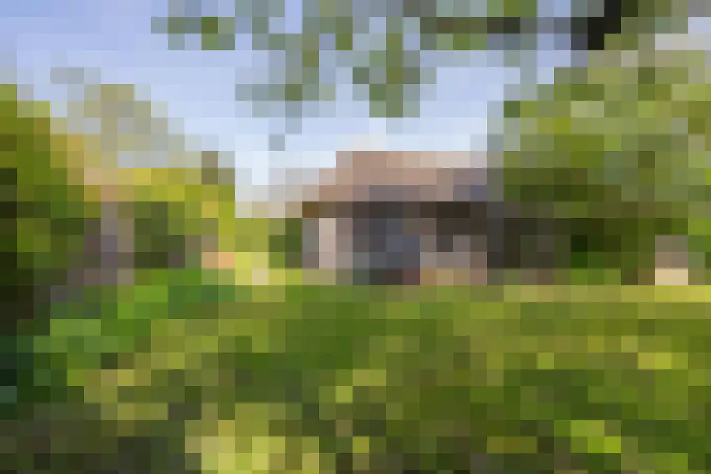Molenstraat 1 Maurik thumbnail 25