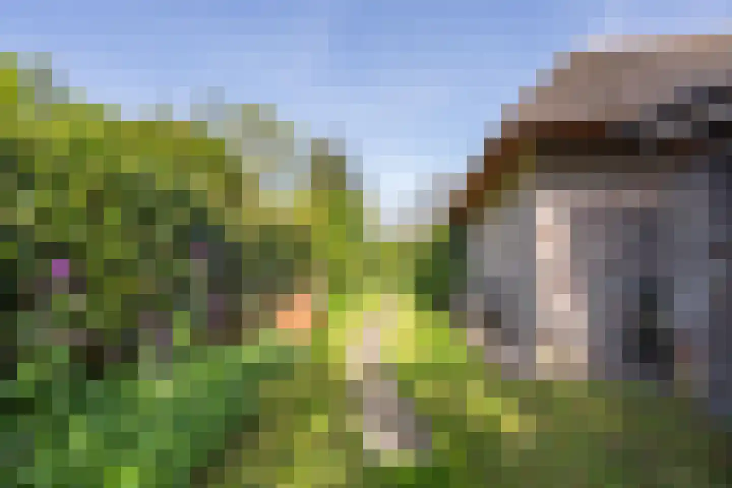 Molenstraat 1 Maurik thumbnail 27