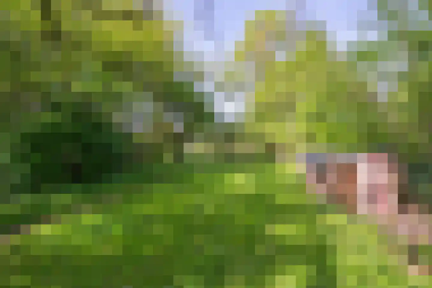 Molenstraat 1 Maurik thumbnail 29