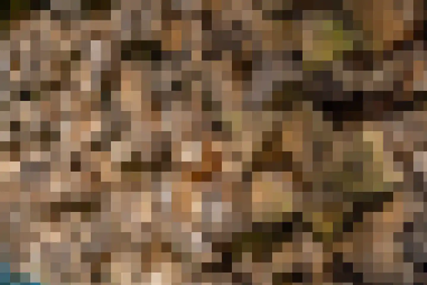 Molenstraat 1 Maurik thumbnail 30