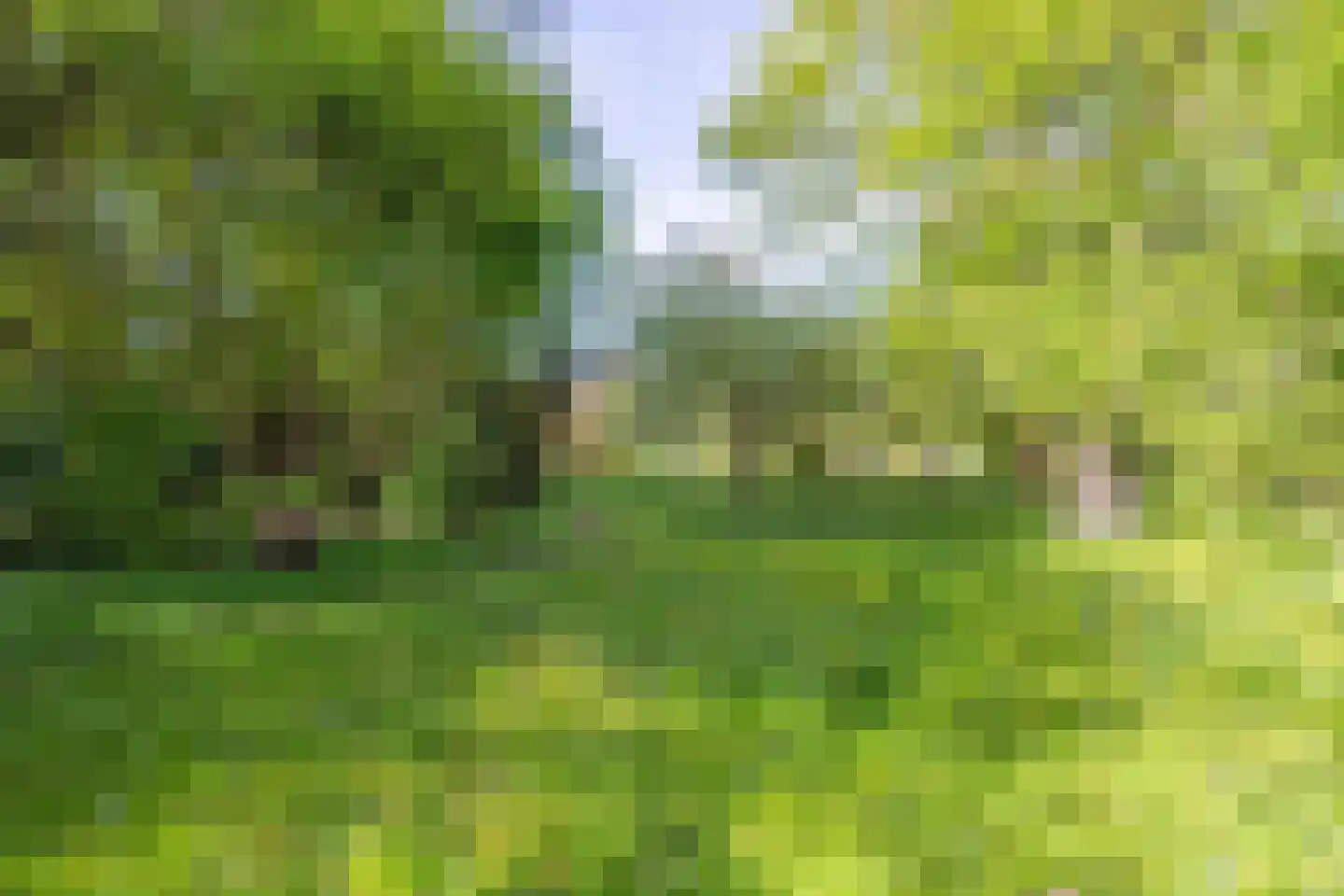 Molenstraat 1 Maurik thumbnail 31