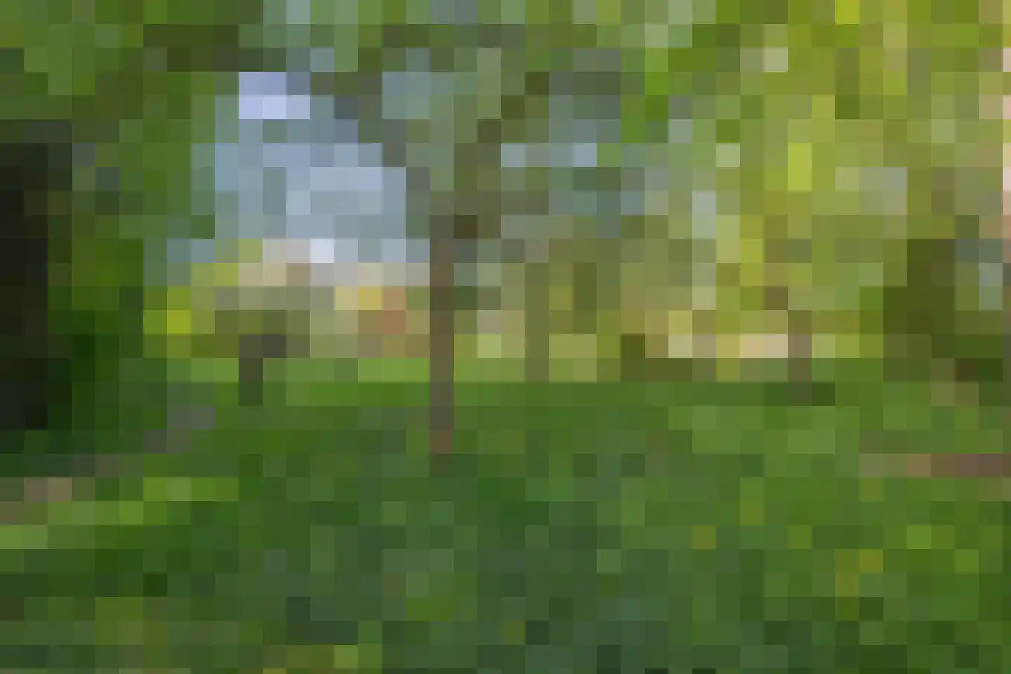 Molenstraat 1 Maurik thumbnail 32