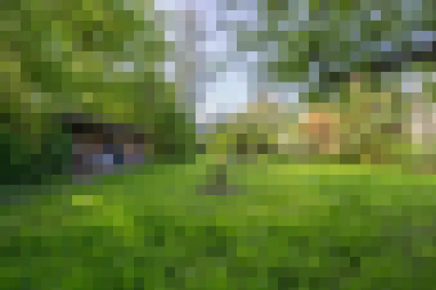 Molenstraat 1 Maurik thumbnail 33