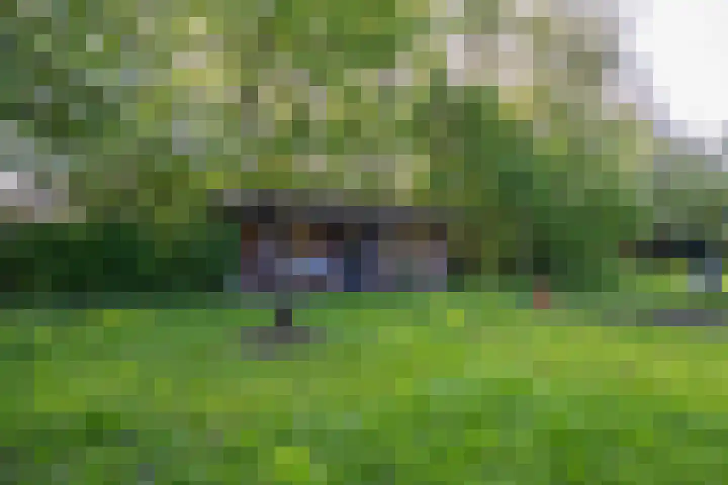 Molenstraat 1 Maurik thumbnail 34