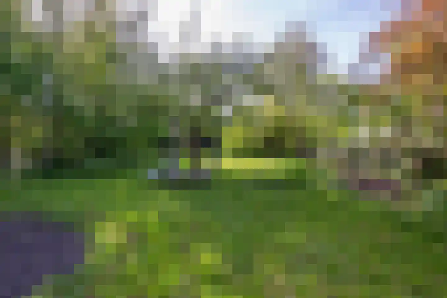 Molenstraat 1 Maurik thumbnail 38