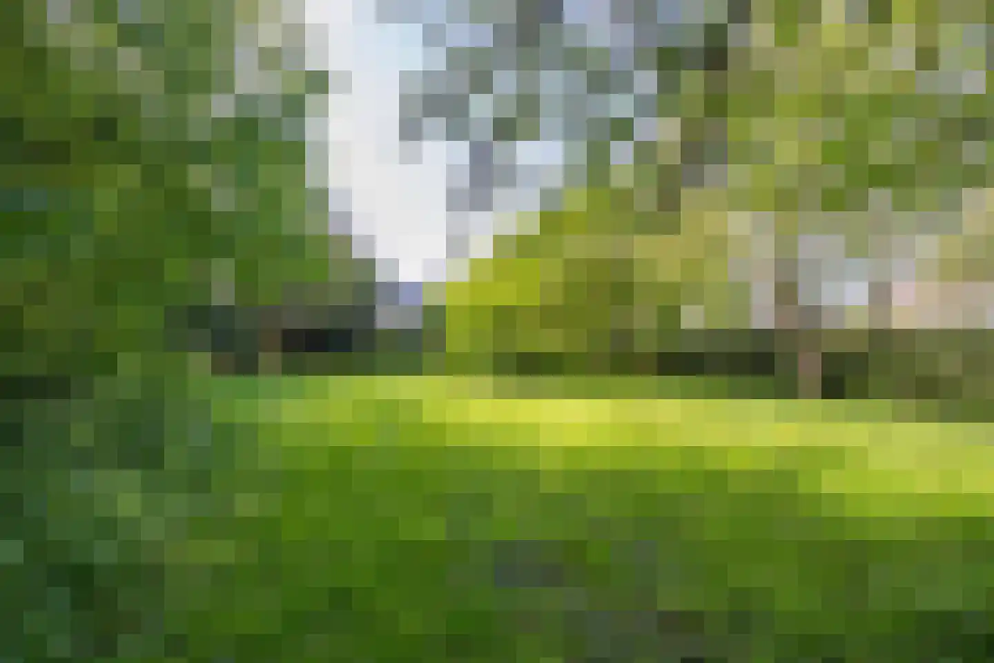 Molenstraat 1 Maurik thumbnail 39