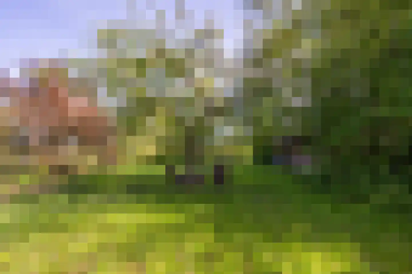 Molenstraat 1 Maurik thumbnail 45