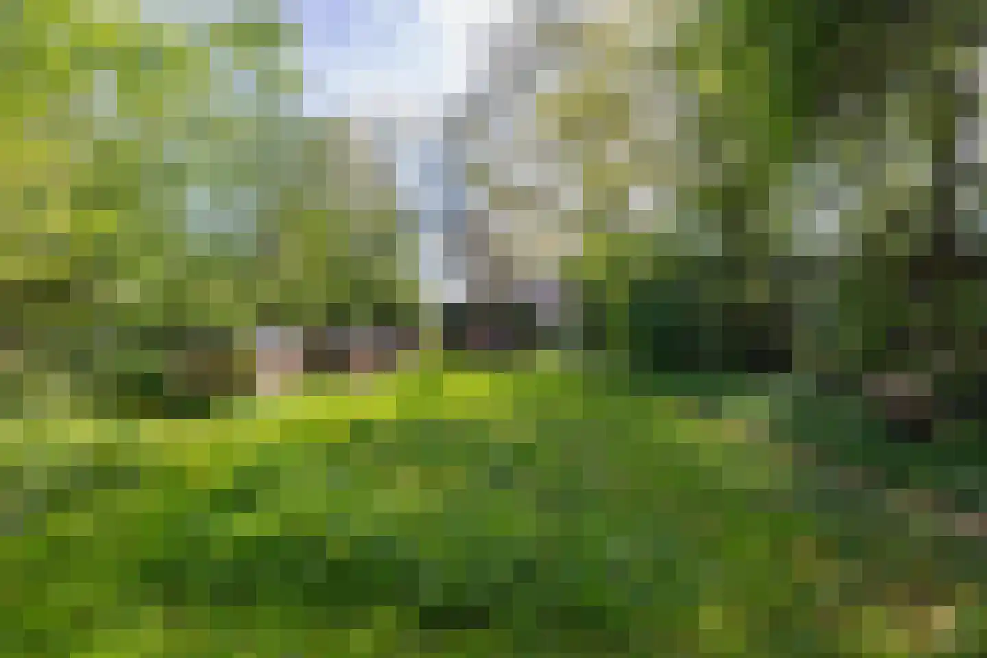 Molenstraat 1 Maurik thumbnail 47