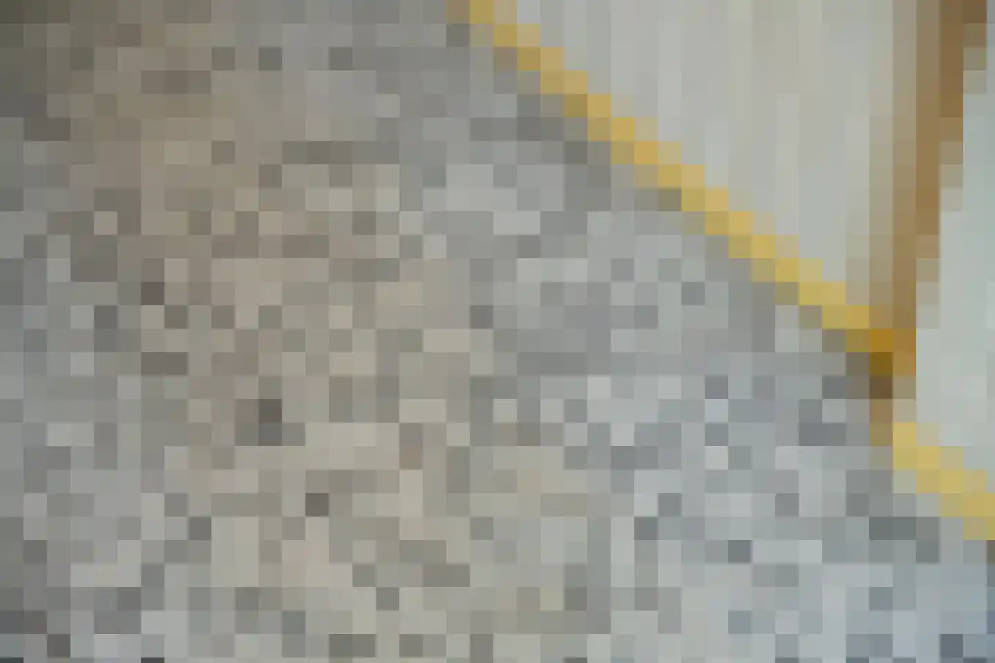 Molenstraat 1 Maurik thumbnail 52