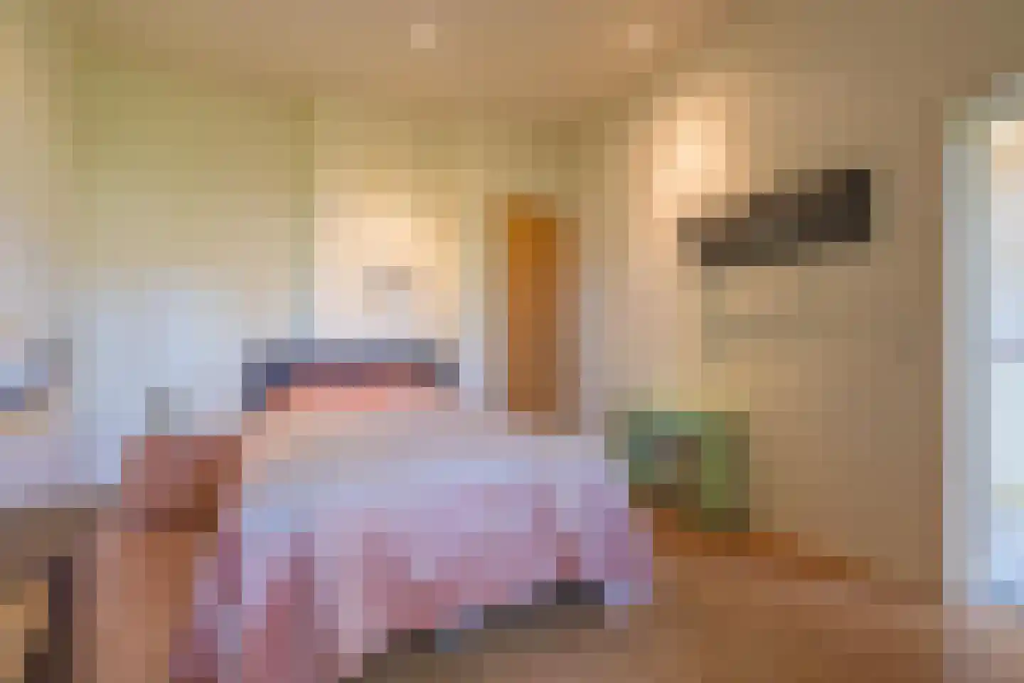 Molenstraat 1 Maurik thumbnail 54