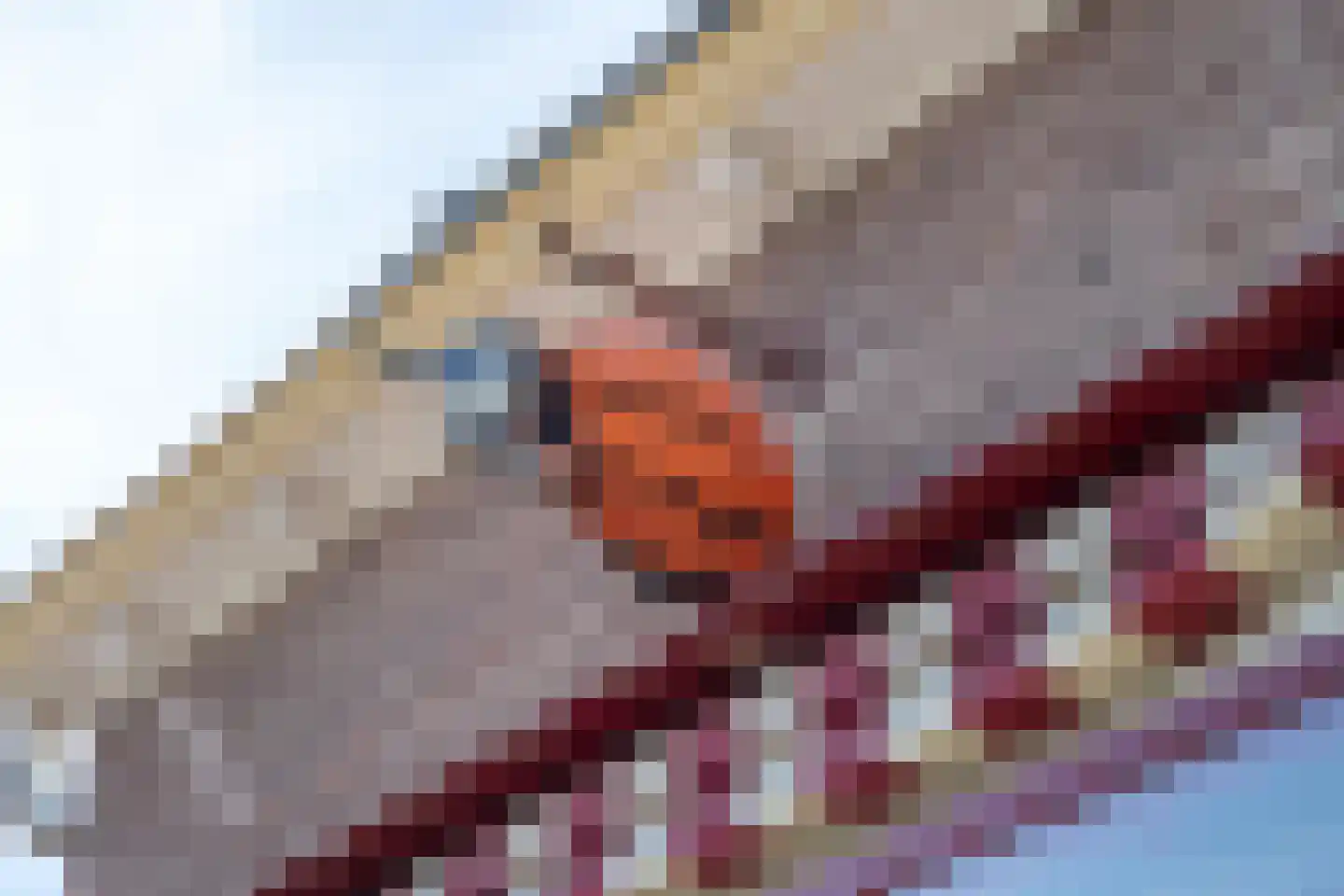 Molenstraat 1 Maurik thumbnail 6